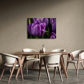 Tablou pe sticlă cu flori de lalele (70x50 cm)
