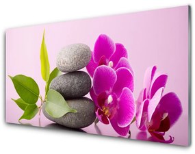 Tablou pe sticla Pietrele de flori Frunze Floral Roz Gri Verde