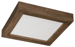 Plafonieră LED dimabilă Brilagi WOODY FRAME LED/24W/230V stejar 30x30 cm IP44 + telecomandă
