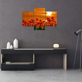 Tablou - lan înflorit de lalele (90x60 cm)
