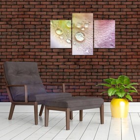 Tablou - Picături (90x60 cm)