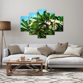 Tablou - Plumeria (150x105 cm)