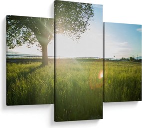 Tablou cu lunca în vară (90x60 cm)