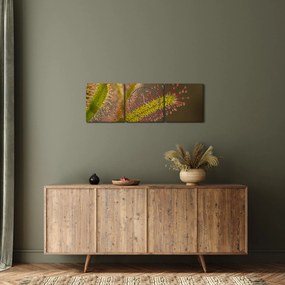 Tablou cu plantă (cu ceas) (90x30 cm)