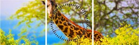 Tablou - Girafa în Africa (cu ceas) (90x30 cm)