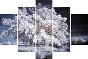 Tablou - Albă ca Zăpada Copac (150x105 cm)