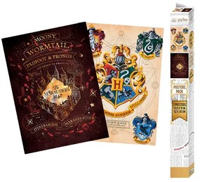 set 2 postere Harry Potter