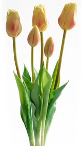 Buchet LALELE galben deschis, 46 cm, 5 buc