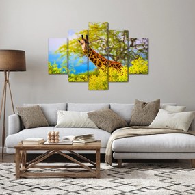 Tablou - Girafa în Africa (150x105 cm)