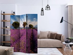 Paravan - Lavender field in Provence, France [Room Dividers]