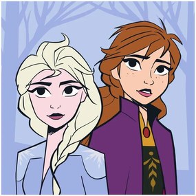 Disney Regatul de gheață Prosop Magic pentru Maini Sisters, Prosop de Față, 30x30cm