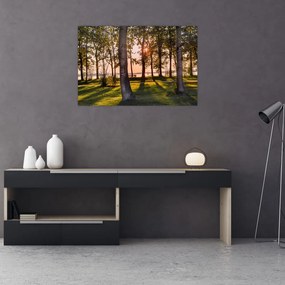 Tablou cu pomi lângă lac (90x60 cm)