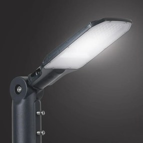 BRILAGI - Lampă stradală LED de exterior URBANLIGHT LED/50W/230V antracit IP65