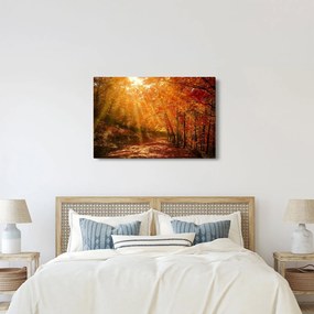Tablou cu pădurea în toamnă (90x60 cm)