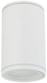 Spot FLARE 1xGU10/10W/230V 10 cm alb