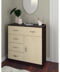 Comoda 1-3-1 wenge+mesteacan
