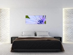 Tablou - Floare (120x50 cm)