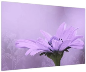 Tablou - Flori mov (90x60 cm)