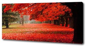 Tablou pe pânză canvas Copaci în toamna
