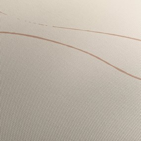 Tablou - Abstractizare bej (70x50 cm)