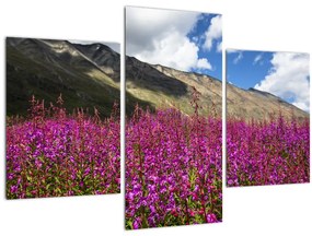 Tablou sceneriei cu lunca montană (90x60 cm)