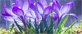 Tablou cuflori în ploaie (120x50 cm)