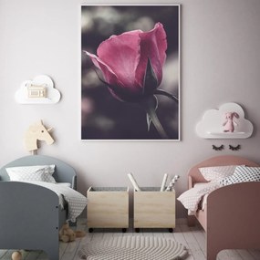 Poster - Floarea de trandafir (A4)