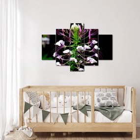 Tablou cu floare (150x105 cm)