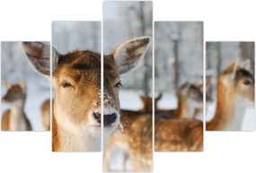 Tablou - Cerbi (150x105 cm)