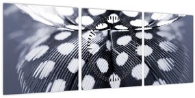 Tablou - Pană (cu ceas) (90x30 cm)