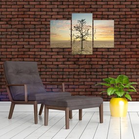 Tablou - Copac în deșert (90x60 cm)