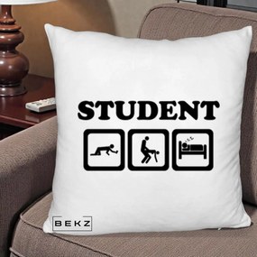 Perna Decorativa Student Life, 40x40 cm, Alb Pufos, Husa Detasabila, Perna Inclusa, BEKZ®