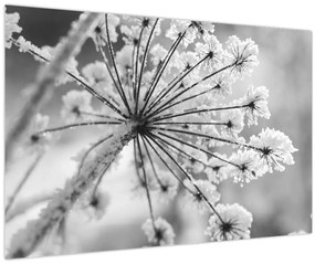 Tablou - Floare în timpul iernii (90x60 cm)