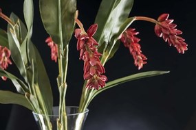 Aranjament floral elegant ETERNITY BOWL CLASSIC WEEPING 1141796.30