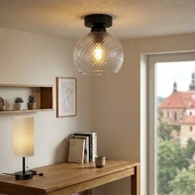 BRILAGI - Plafonieră LED R GLASS 1xE27/60W/230V Ø 18 cm negru/gri fumuriu