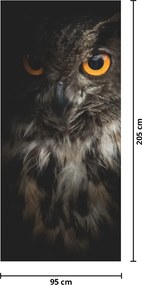 Fototapet pentru ușă - Bufnița (95x205cm)