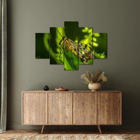 Tablou cu omide (150x105 cm)