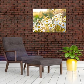 Tablou - Margarete (70x50 cm)