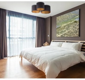 Duolla - Plafonieră ROLLER TRIO 3xE27/60W/230V antracit