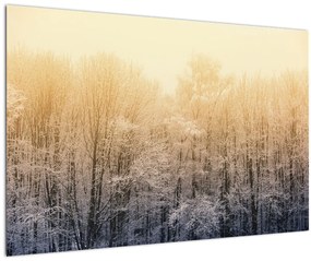 Tablou cu pădure geroasă (90x60 cm)