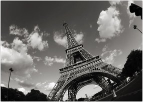 Tablou - Turnul Eiffel din Paris (70x50 cm)