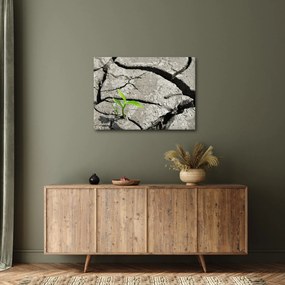 Tablou - Fisuri (70x50 cm)