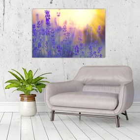 Tablou - Levănțică (90x60 cm)