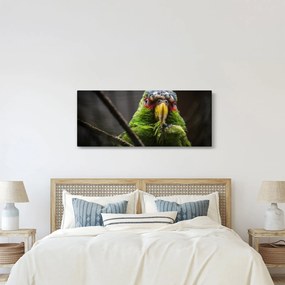 Tablou cu papagal (120x50 cm)