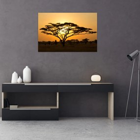 Tablou - Savana africană (90x60 cm)