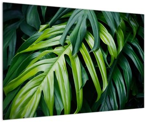 Tablou - Frunze tropicale (90x60 cm)