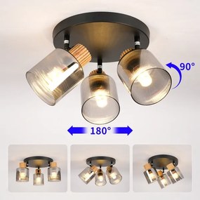 Brilagi - Lampă spot HYGGE 3xE14/15W/230V negru/fumuriu