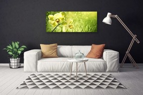 Tablou pe panza canvas Iarbă Flori Floral Verde