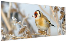 Tablou - Ciredeaua (120x50 cm)