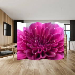 Paravan - Floare (210x170 cm)